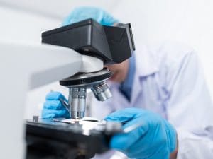 Tech News : Could ‘Organoid’ Computers Be Next?